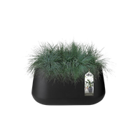 pure cone long wheels 75 black